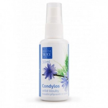 Condylos 50ml