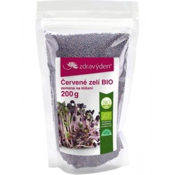 Červené zelí BIO - semena...