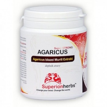 AGARICUS